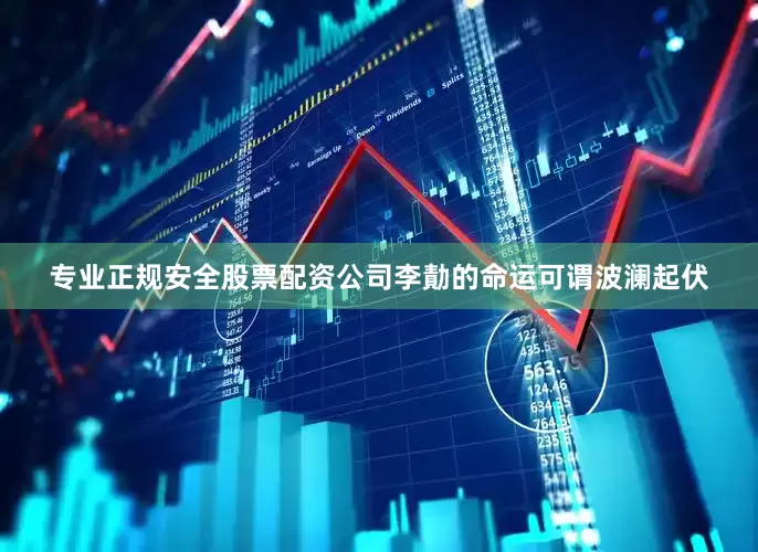 专业正规安全股票配资公司李勣的命运可谓波澜起伏