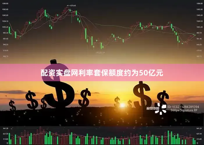 配资实盘网利率套保额度约为50亿元
